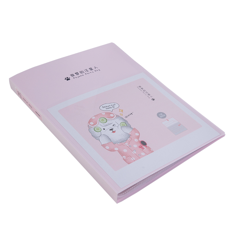 得力72553  40页 资料册红 蓝 绿 混